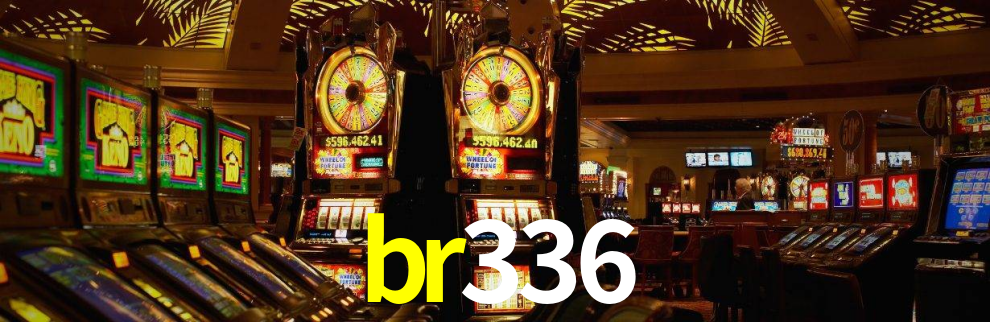 Premium Interface br336